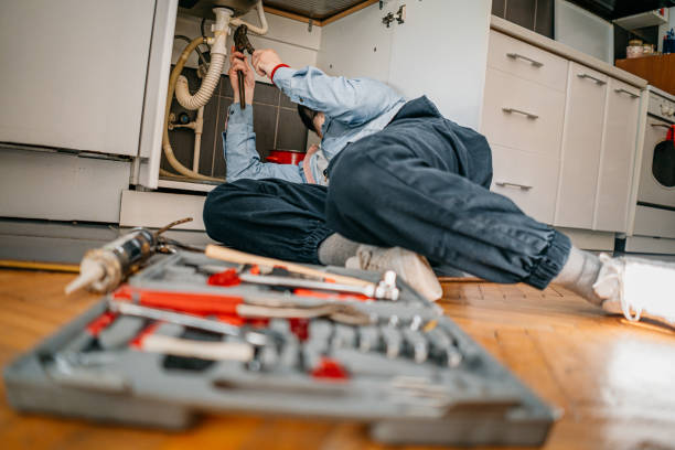 Best Sprinkler Systems  in Niverville, NY